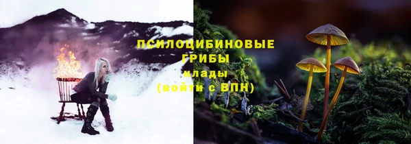 мяу мяу мука Болохово